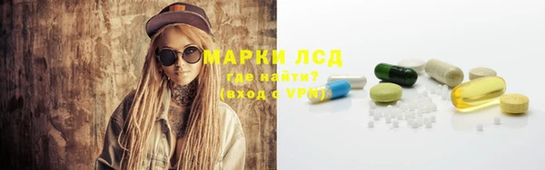 ешки Аркадак