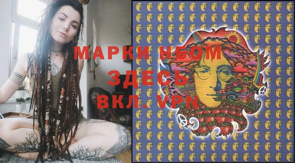 ешки Аркадак