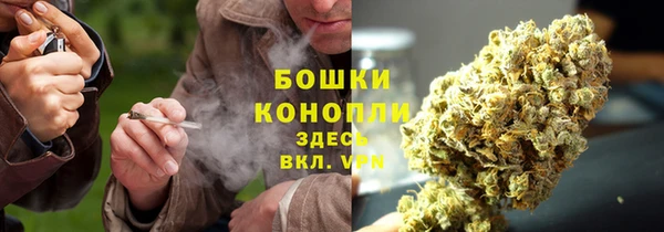 ешки Аркадак